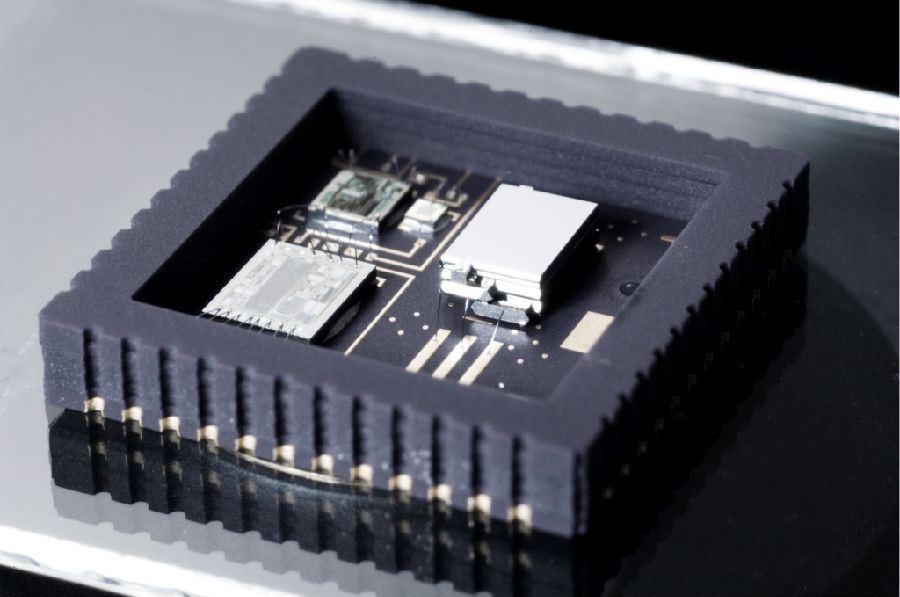 圖一:Colibrys產(chǎn)品剖視å›?