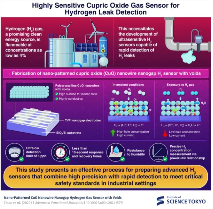 本研究提出了一種制備先進氫氣(H₂)傳感器的有效工藝,該傳感器兼具高精度與快速檢測的特點,能夠滿足工業環境中的關鍵安全標準ã?