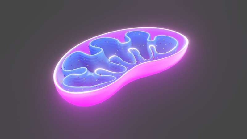 mitochondria-1.jpg